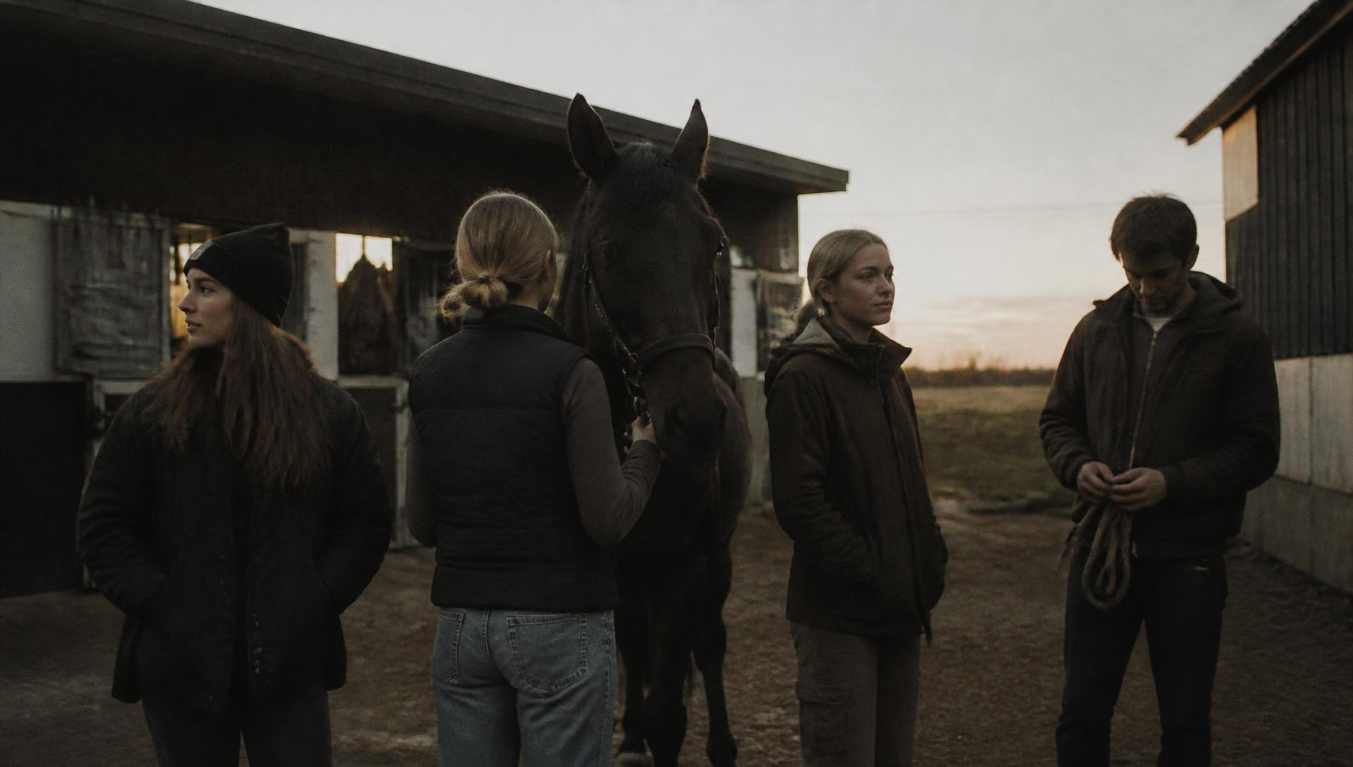 The OfHorse team