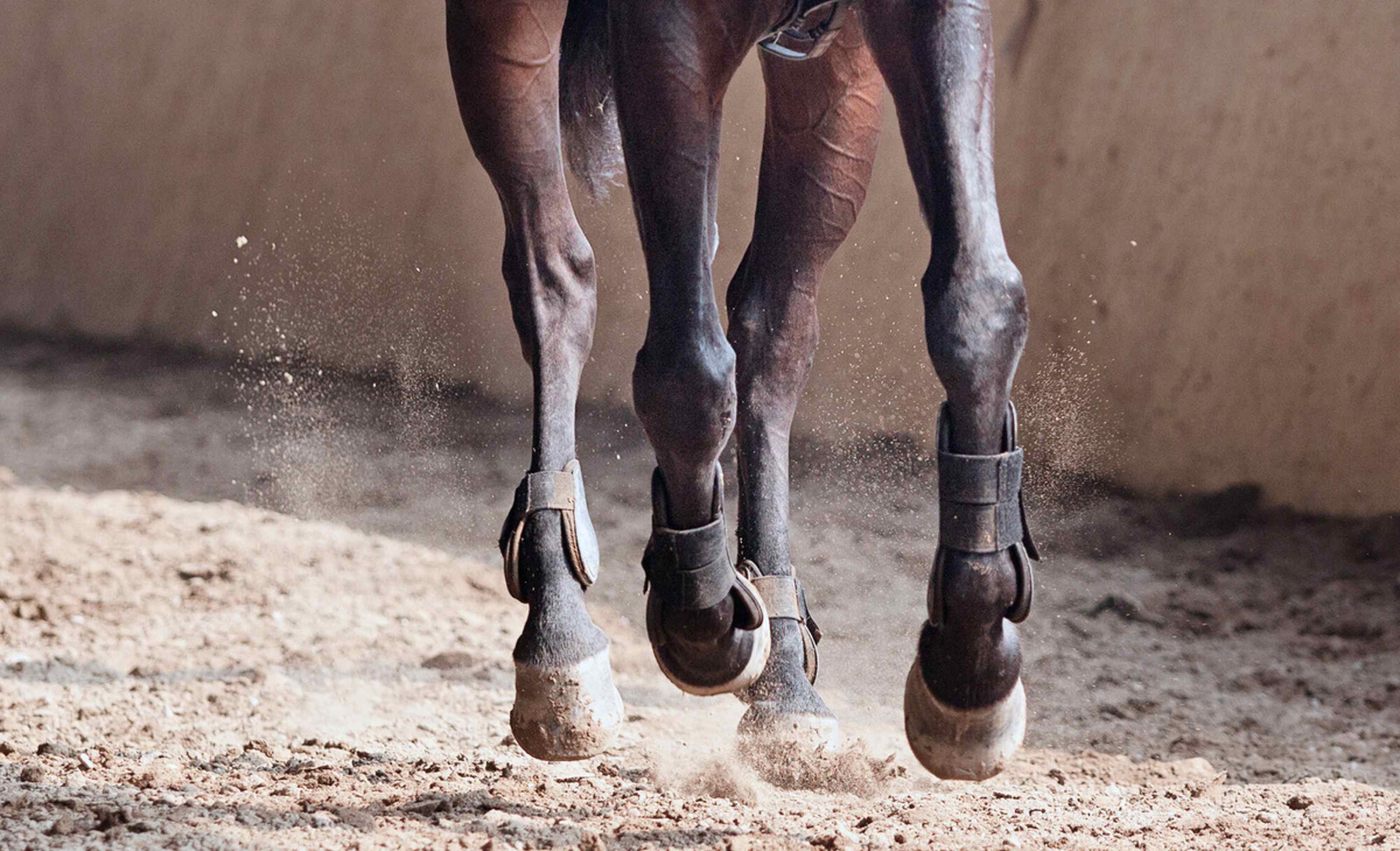 Standardisation application