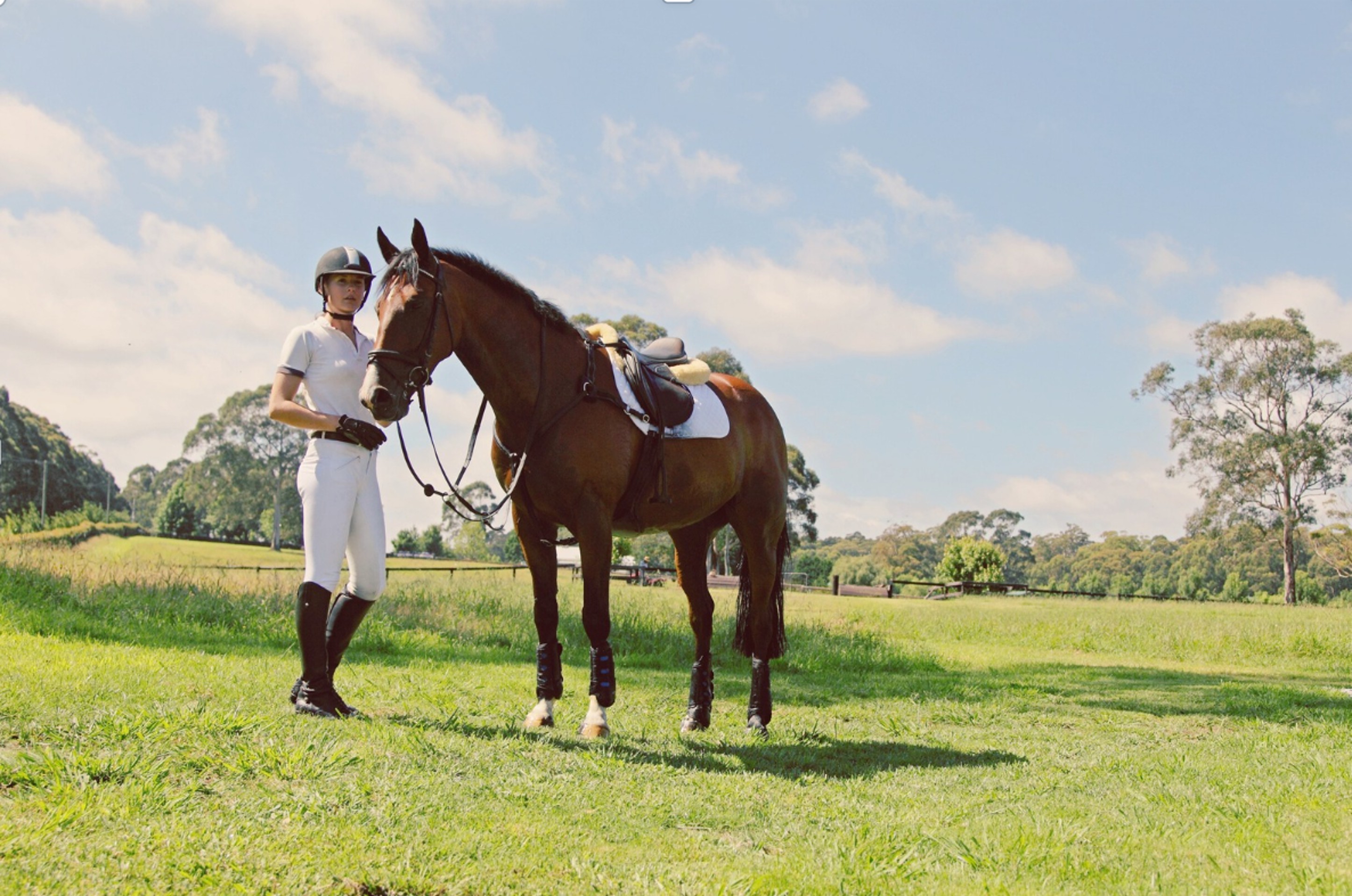 Horse and rider measurement areas